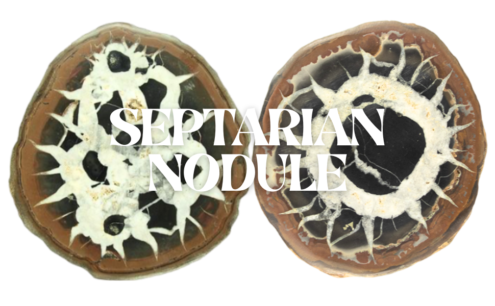Septarian Nodule