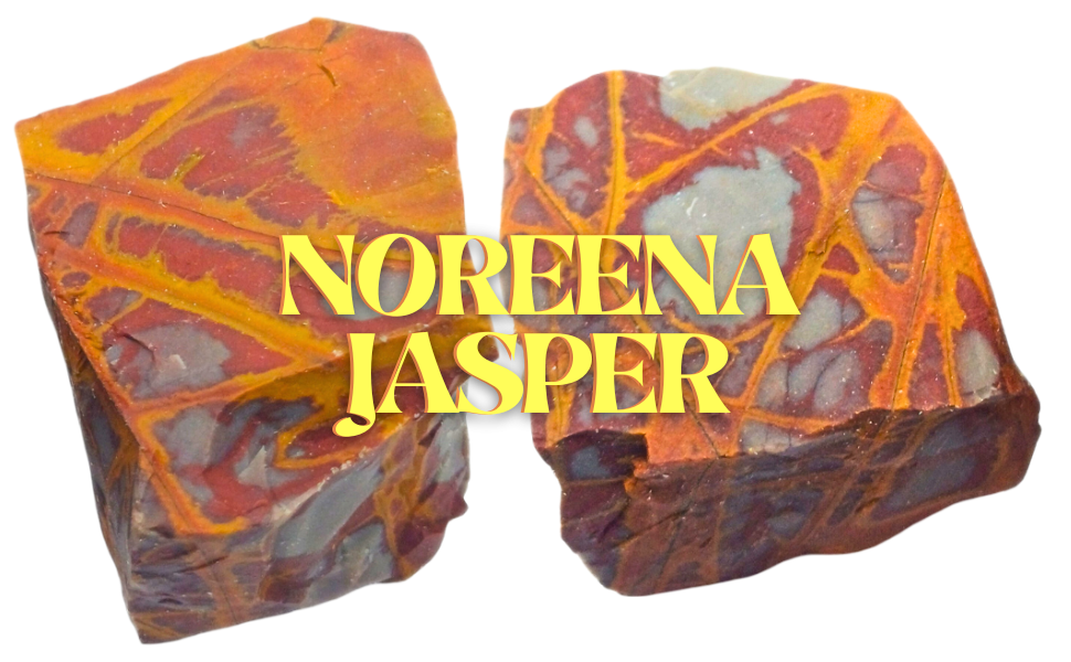 Noreena Jasper