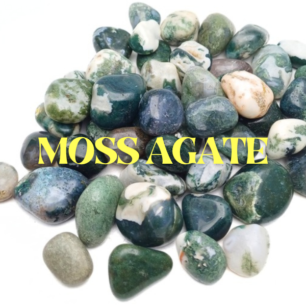 Moss Agate Tumbled Stone