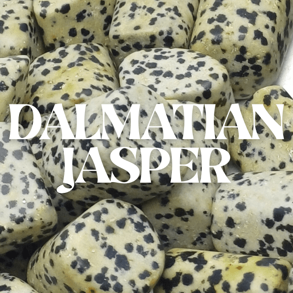 Dalmatian Jasper