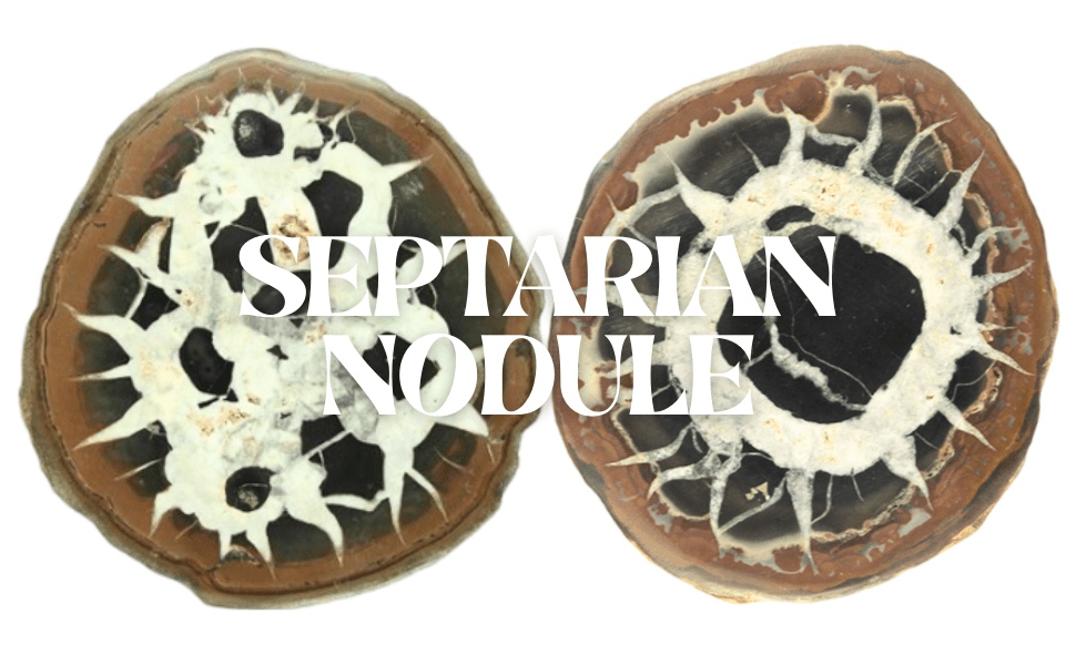 Septarian Nodule