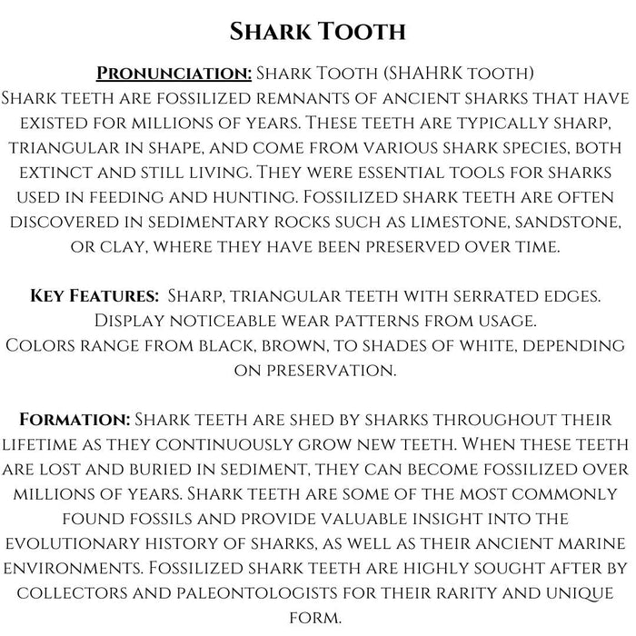 1" TO 1.5" SMALL SHARK TOOTH