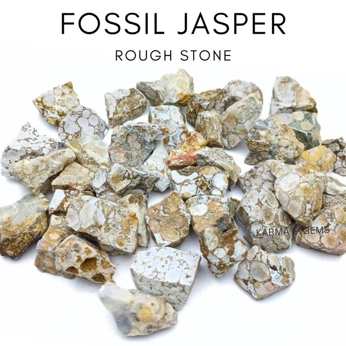 15 TO 25 MM FOSSIL JASPER ROUGH STONE