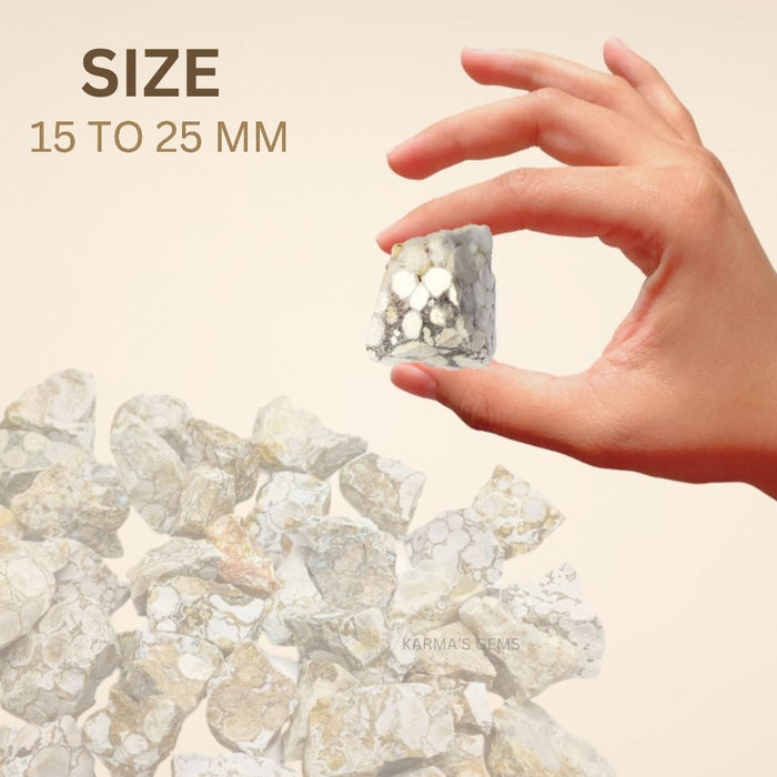 15 TO 25 MM FOSSIL JASPER ROUGH STONE