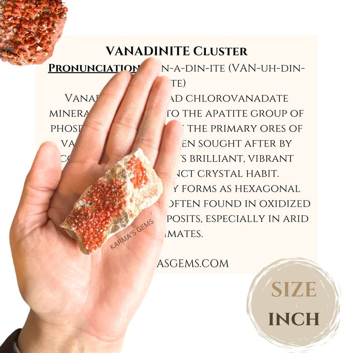 VANADINITE CLUSTER