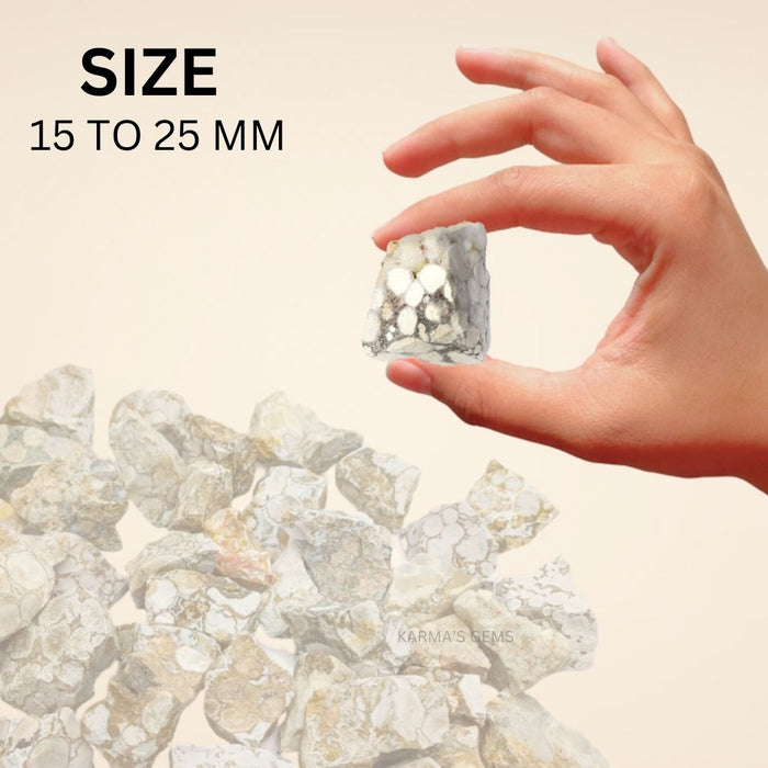 2 PCS 15 TO 25 MM FOSSIL JASPER ROUGH STONE
