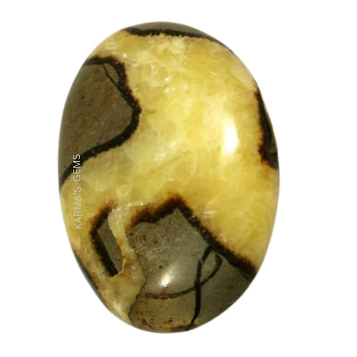 SEPTARIAN PALMSTONE