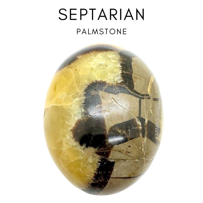 SEPTARIAN PALMSTONE