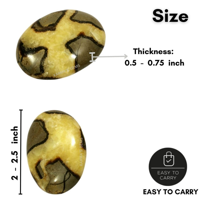 SEPTARIAN PALMSTONE