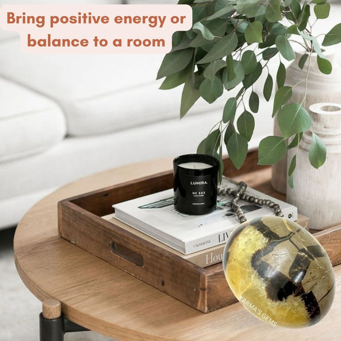 SEPTARIAN PALMSTONE
