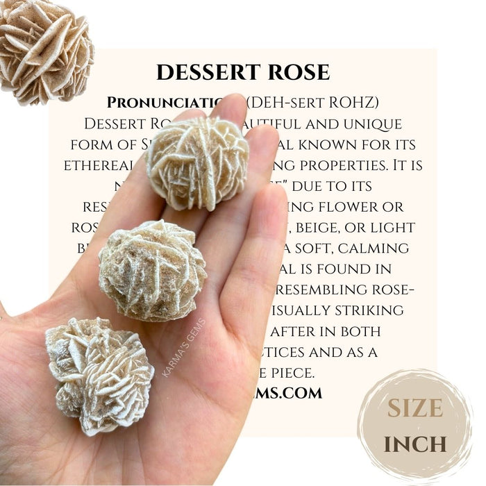 DESSERT ROSE