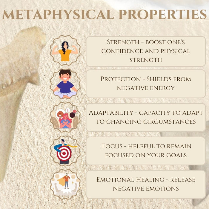 1" TO 1.5" SMALL SHARK TOOTH